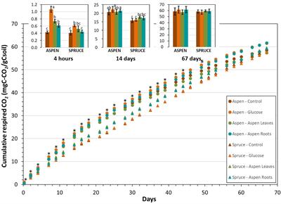 Microbial Substrate Utilization and Vegetation Shifts in Boreal Forest Floors of Western Canada